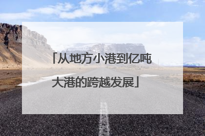从地方小港到亿吨大港的跨越发展