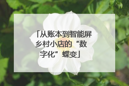 从账本到智能屏 乡村小店的“数字化”蝶变