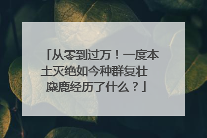 从零到过万！一度本土灭绝如今种群复壮 麋鹿经历了什么？