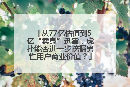 从77亿估值到5亿“卖身”迅雷，虎扑能否进一步挖掘男性用户商业价值？