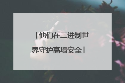 他们在二进制世界守护高墙安全