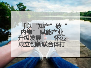以“知产”破“内卷” 赋能产业升级发展——怀远成立创新联合体打造汽车零部件产业新高地