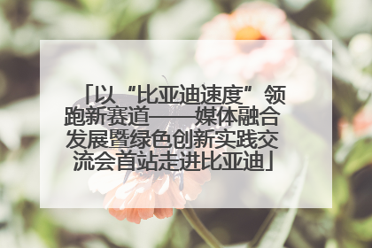 以“比亚迪速度”领跑新赛道——媒体融合发展暨绿色创新实践交流会首站走进比亚迪