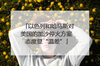 以色列和哈马斯对美国的加沙停火方案态度显“温差”