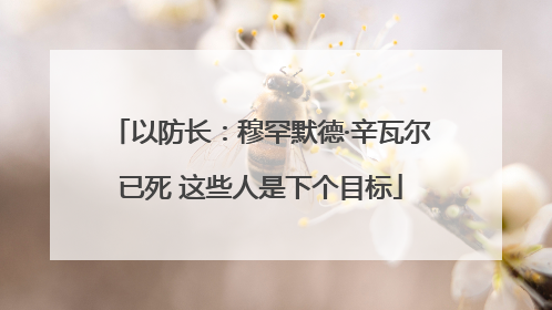 以防长：穆罕默德·辛瓦尔已死 这些人是下个目标