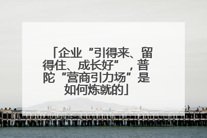 企业“引得来、留得住、成长好”，普陀“营商引力场”是如何炼就的