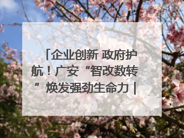 企业创新 政府护航！广安“智改数转”焕发强劲生命力｜市州焕新力