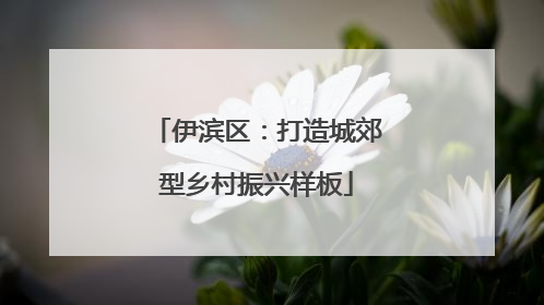 伊滨区：打造城郊型乡村振兴样板