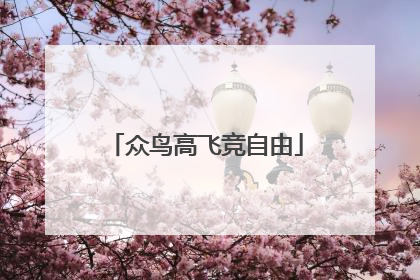 众鸟高飞竞自由