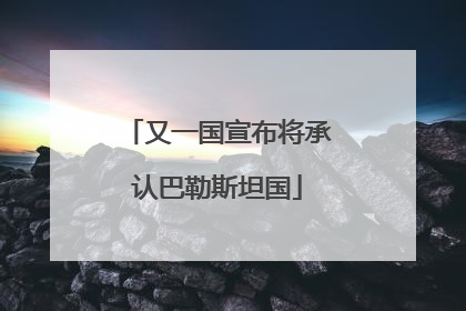 又一国宣布将承认巴勒斯坦国