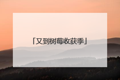 又到树莓收获季