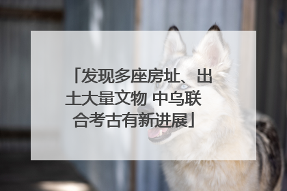 发现多座房址、出土大量文物 中乌联合考古有新进展