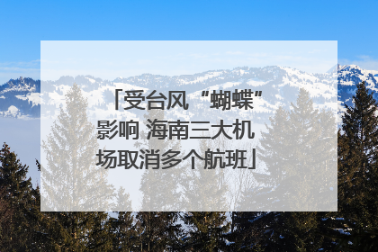 受台风“蝴蝶”影响 海南三大机场取消多个航班