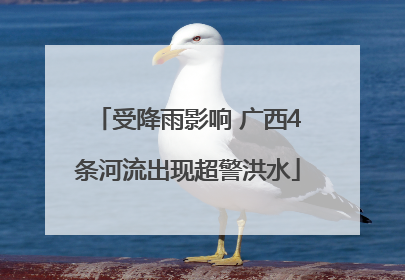 受降雨影响 广西4条河流出现超警洪水
