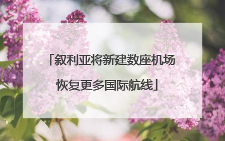 叙利亚将新建数座机场 恢复更多国际航线