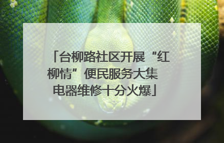 台柳路社区开展“红柳情”便民服务大集 电器维修十分火爆