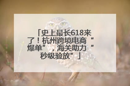 史上最长618来了！杭州跨境电商“爆单”，海关助力“秒级验放”