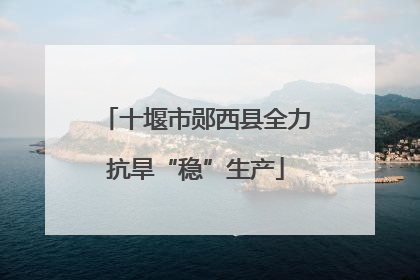 十堰市郧西县全力抗旱“稳”生产