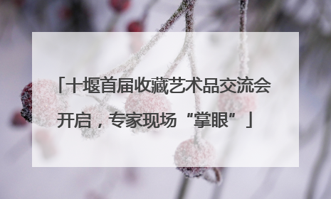 十堰首届收藏艺术品交流会开启，专家现场“掌眼”