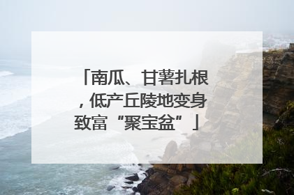 南瓜、甘薯扎根，低产丘陵地变身致富“聚宝盆”