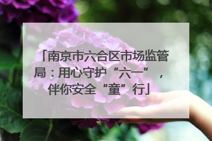 南京市六合区市场监管局：用心守护“六一”，伴你安全“童”行