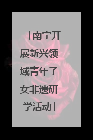 南宁开展新兴领域青年子女非遗研学活动