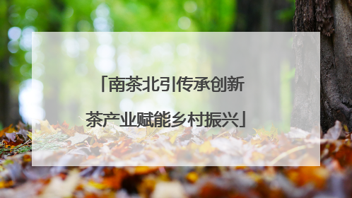 南茶北引传承创新 茶产业赋能乡村振兴