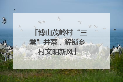 博山茂岭村“三堂”并蒂，解锁乡村文明新风