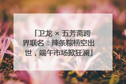 卫龙 × 五芳斋跨界联名：辣条粽横空出世，端午市场掀狂澜