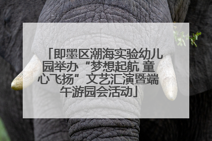 即墨区潮海实验幼儿园举办“梦想起航 童心飞扬”文艺汇演暨端午游园会活动