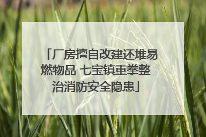 厂房擅自改建还堆易燃物品 七宝镇重拳整治消防安全隐患