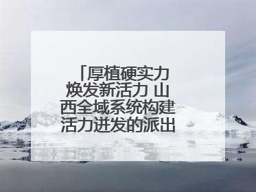 厚植硬实力 焕发新活力 山西全域系统构建活力迸发的派出所工作新生态