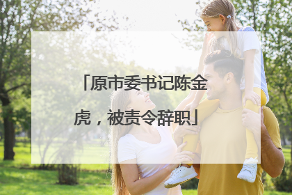 原市委书记陈金虎，被责令辞职