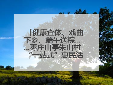 健康查体、戏曲下乡、端午送粽……枣庄山亭朱山村“一站式”惠民活动暖民心