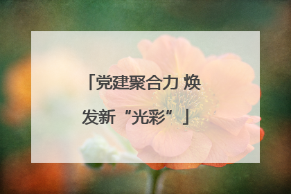 党建聚合力 焕发新“光彩”