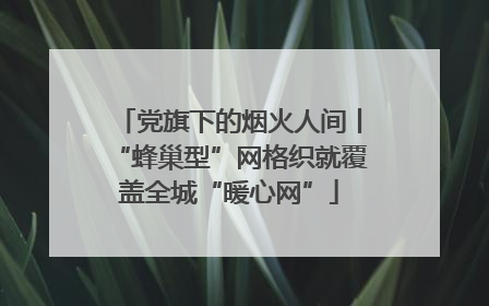 党旗下的烟火人间丨“蜂巢型”网格织就覆盖全城“暖心网”