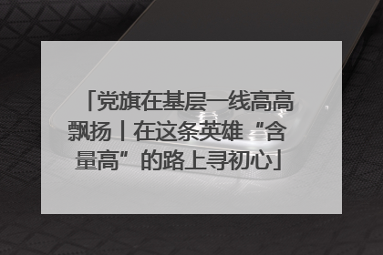 党旗在基层一线高高飘扬丨在这条英雄“含量高”的路上寻初心