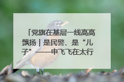 党旗在基层一线高高飘扬｜是民警、是“儿子”——申飞飞在太行山中的一线坚守