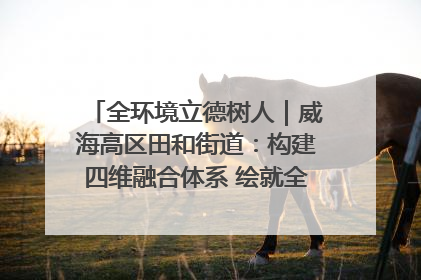 全环境立德树人｜威海高区田和街道：构建四维融合体系 绘就全环境立德树人新画卷