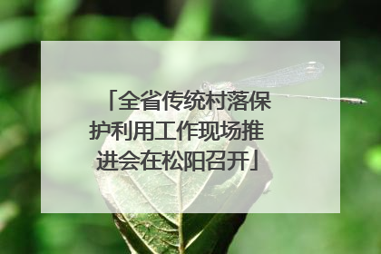 全省传统村落保护利用工作现场推进会在松阳召开