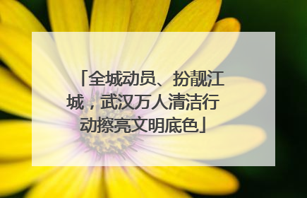 全城动员、扮靓江城，武汉万人清洁行动擦亮文明底色