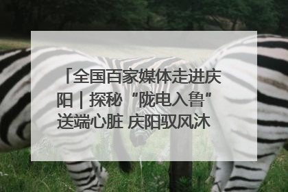 全国百家媒体走进庆阳｜探秘“陇电入鲁”送端心脏 庆阳驭风沐光点亮齐鲁万家