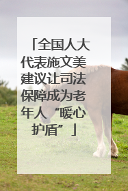 全国人大代表施文美建议让司法保障成为老年人“暖心护盾”