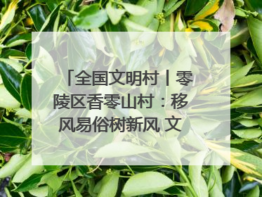 全国文明村丨零陵区香零山村：移风易俗树新风 文明乡村谱新篇