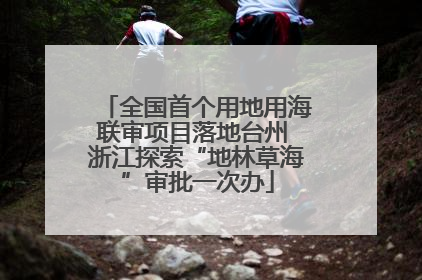 全国首个用地用海联审项目落地台州 浙江探索“地林草海”审批一次办