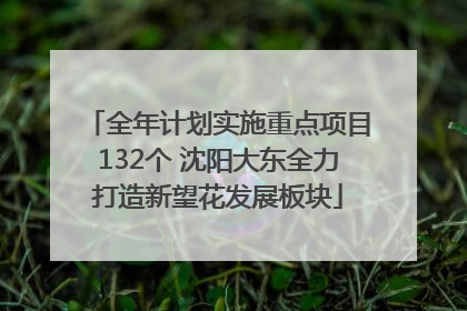 全年计划实施重点项目132个 沈阳大东全力打造新望花发展板块