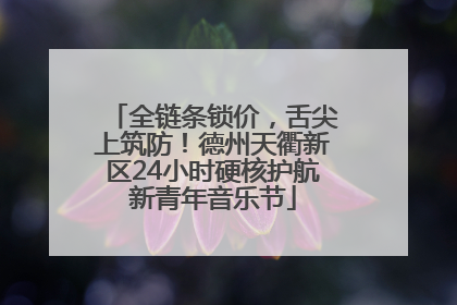 全链条锁价，舌尖上筑防！德州天衢新区24小时硬核护航新青年音乐节