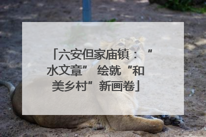 六安但家庙镇：“水文章” 绘就“和美乡村”新画卷