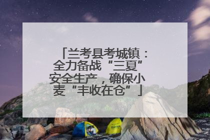 兰考县考城镇：全力备战“三夏”安全生产，确保小麦“丰收在仓”