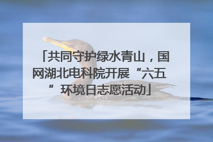 共同守护绿水青山，国网湖北电科院开展“六五”环境日志愿活动
